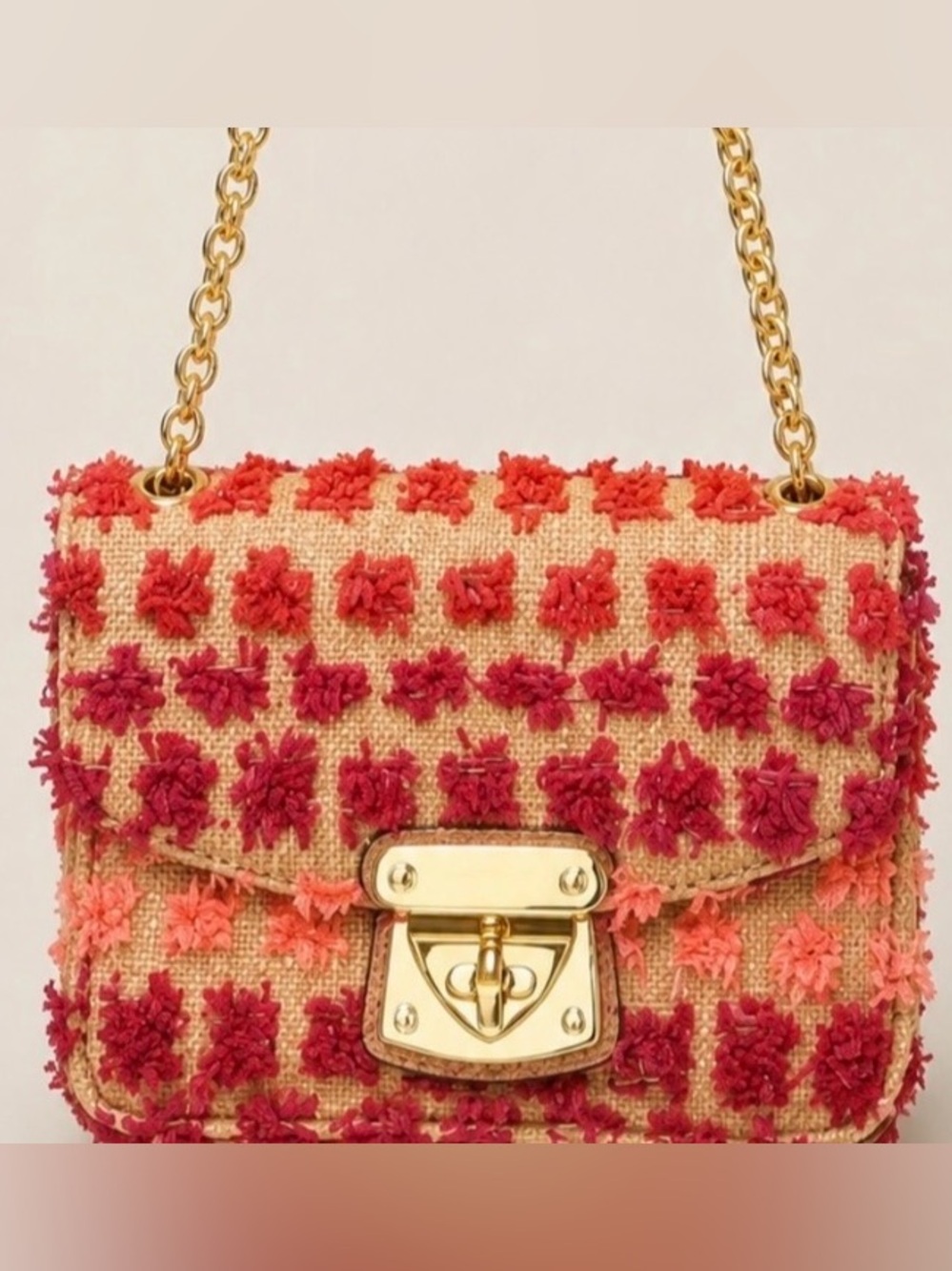 Sam Edelman Raffia Crossbody Bag Pink Red Gold Chain Summer